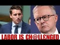 Anthony Albanese In F£AR As Liberal MP Andrew Hastie CH@LL£NGES Labor Government