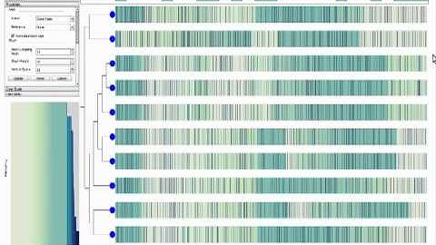 Sequence Surveyor: Leveraging Overview for Scalable Whole Genome Alignment