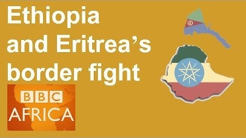 BBC Africa Experts: Ethiopia and Eritrea’s border fight