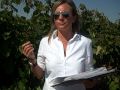 Grape Berry Tasting in Malpica