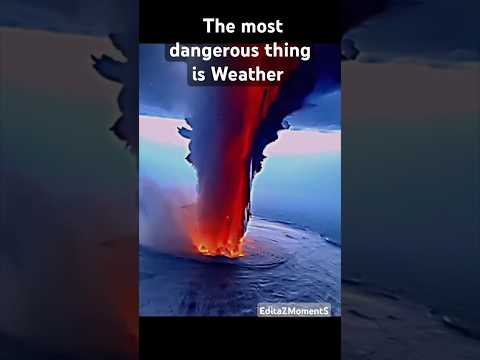World Most Dangerous Thing Is Weather Weather Shorts Angry 