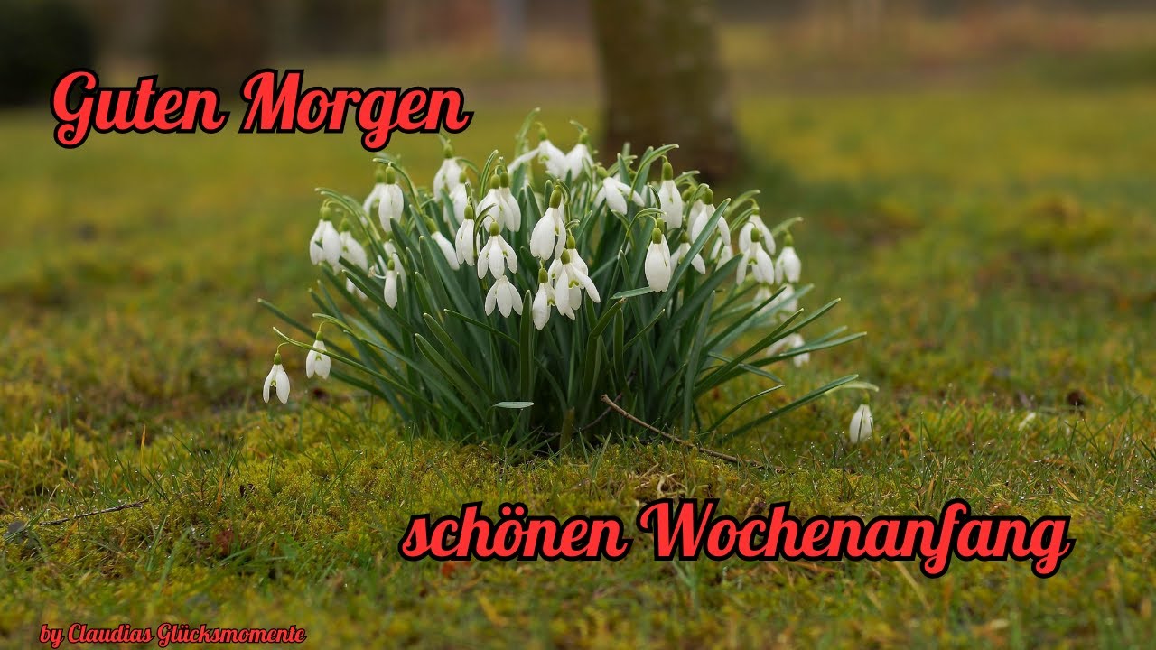 Guten Morgen Schonen Wochenanfang