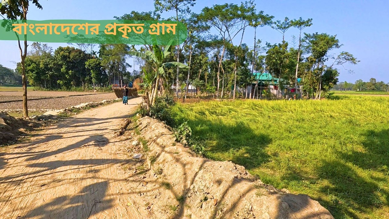 বাংলাদেশের প্রকৃত গ্রাম | Real Village Life in Bangladesh | Rural Beauty