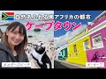 【南アフリカ】野生のペンギンや希望峰、ケープタウンの街での2泊3日🇿🇦