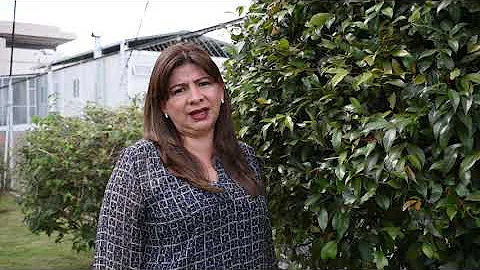 Stella Figueroa