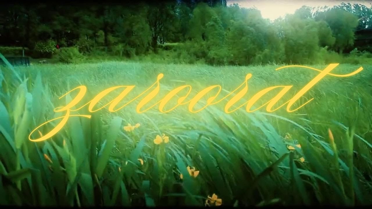 Rishit - Zaroorat (Official Visualizer)