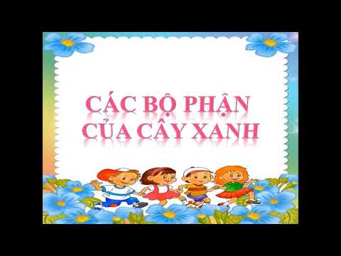 Khối 1 tuần 22 tự nhiên và xã hội bài cây xanh quanh em tiết 1