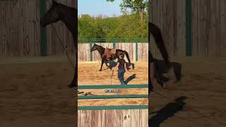 Wallys first ride! Part 1! #Horsebackriding #horse #equestrian #horsegirl