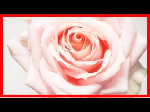 2019，不求大富大貴，只求平平安安！