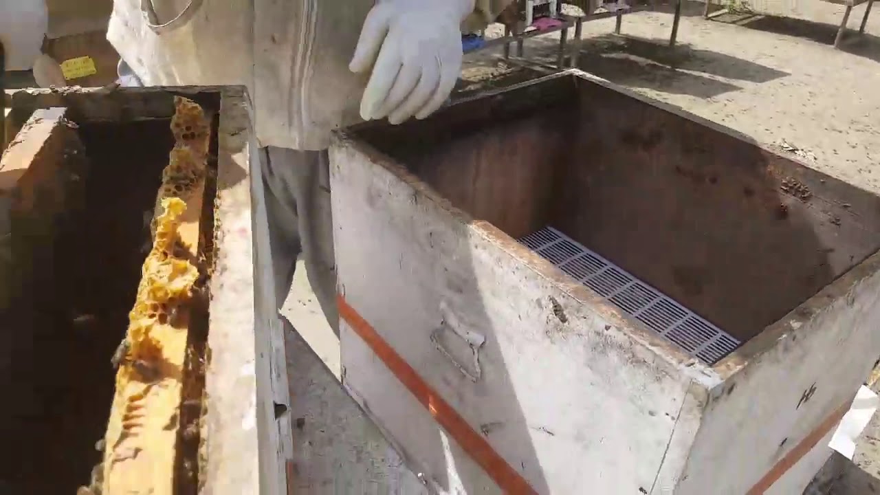 6-9 (altı dokuz) sistemi uygulaması, arıcılıkta 6-9 sistemi, halil bilen