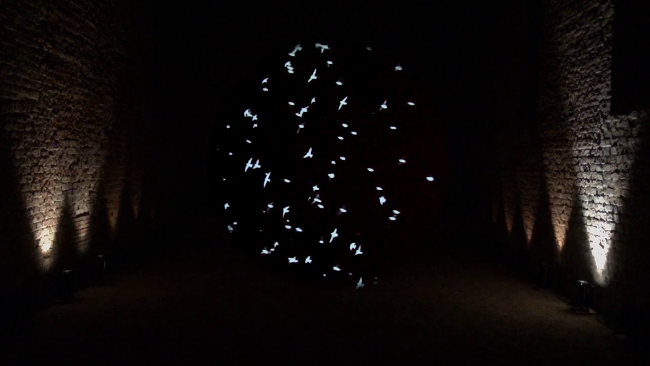 Richard Bolhuis - TAC Temporary Art Centre, Eindhoven