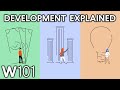Global development explained  world101