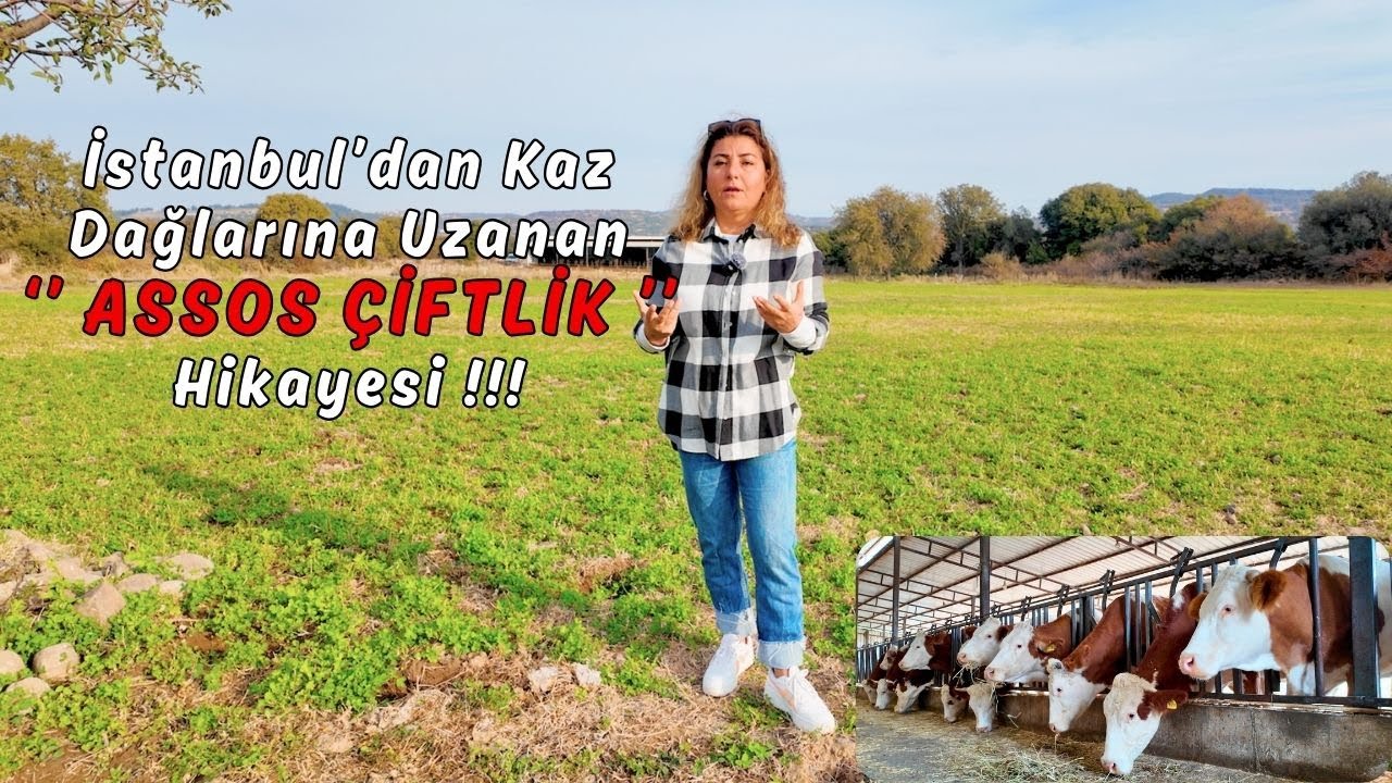 Yiglayotgan qizlar porno Toliq qiz jinsiy aloqa izlaydi