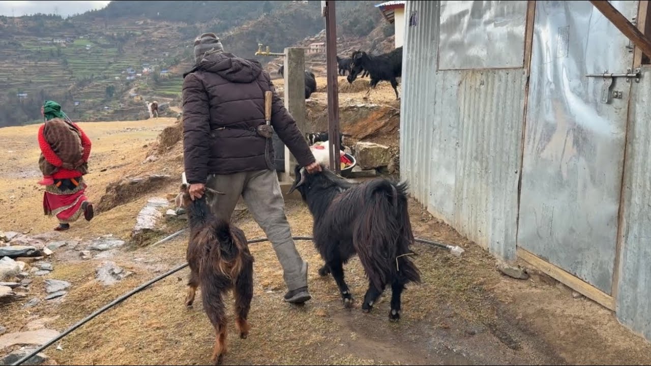 How People Survive In Winter || Himalayan Mountain Life Of Nepali || Life Inside Countryside