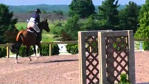 Video of ALL ABOUT ME ridden by NICOLE JEFFRIES fr...