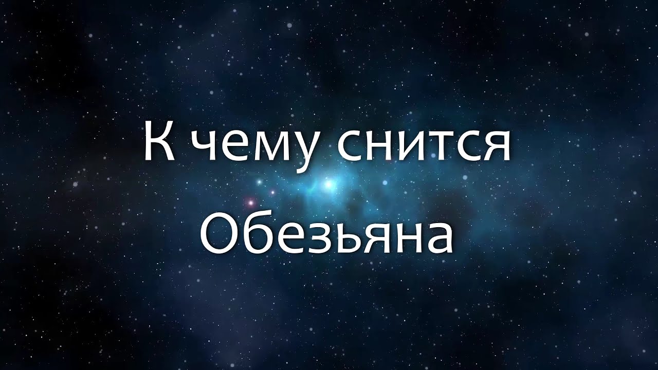 К чему снится Обезьяна (Сонник, Толкование снов)