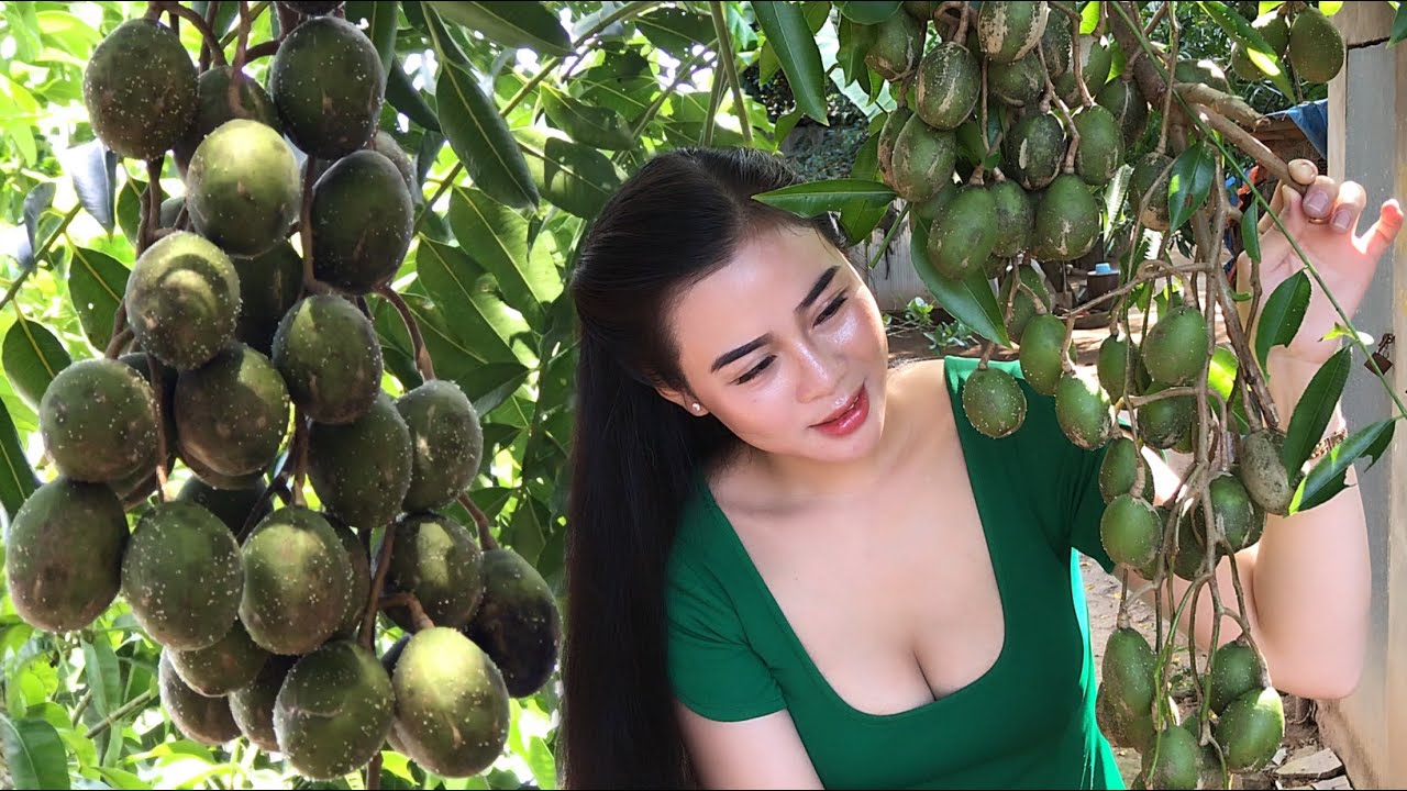 Ambarella Fruit/How To Make Ambarella Salad/Gỏi Cóc/Beautiful Girl Cooking