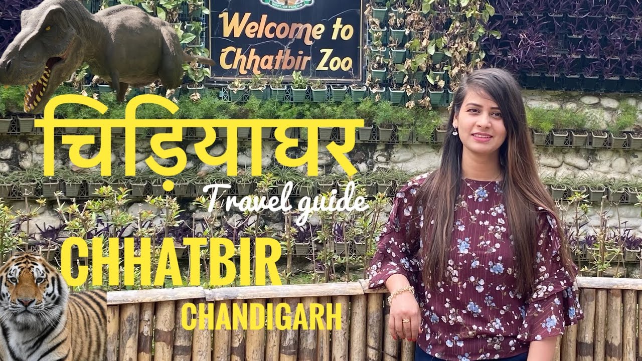 Chhatbir Zoo Chandigarh | Chhatbir Zoo Dinosaur park | Famous Place in Chandigarh