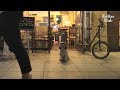 Abandoned Dog Looks For Its Owner Day And Night | Kritter Klub