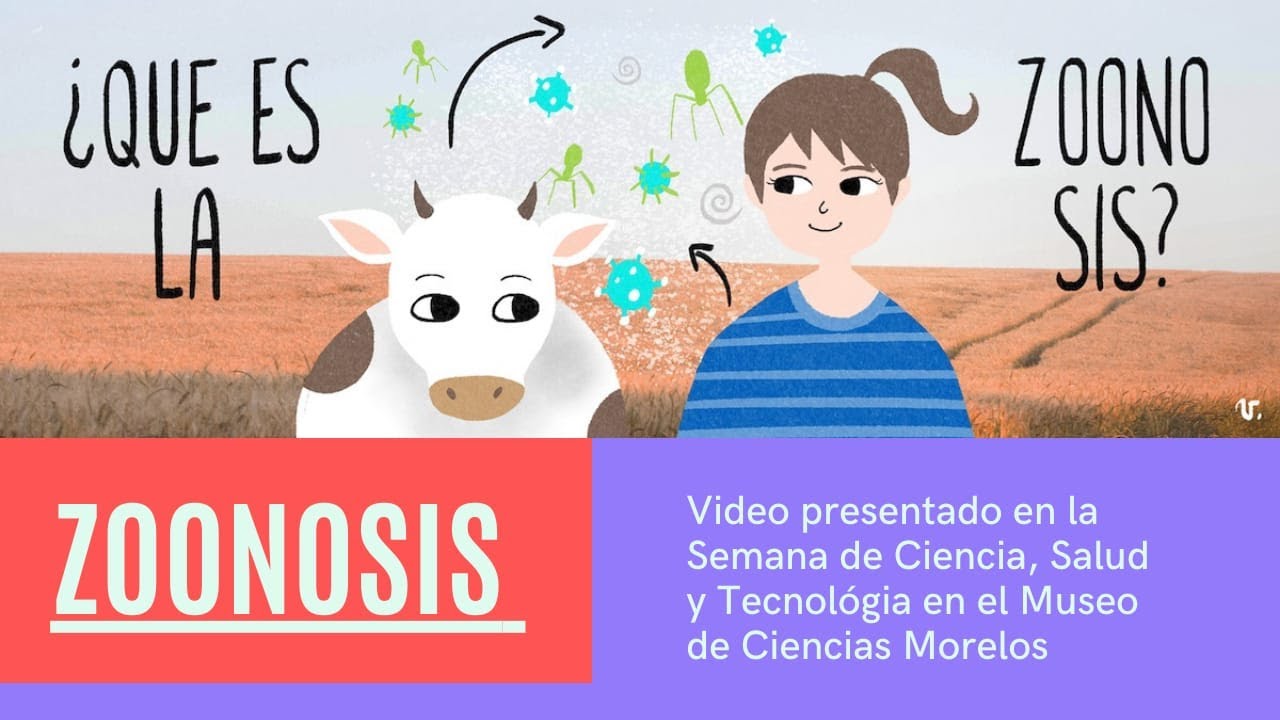  Qu Es La Zoonosis YouTube