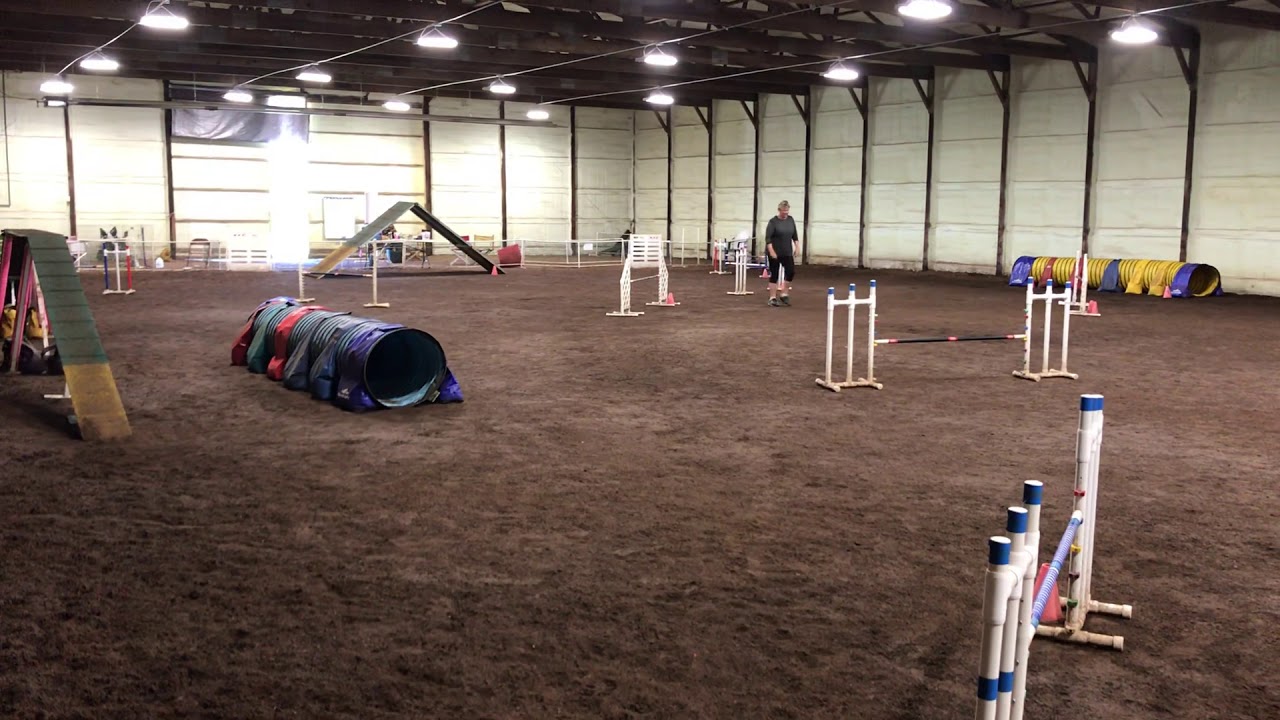 Spot training 5/23/2020 - YouTube