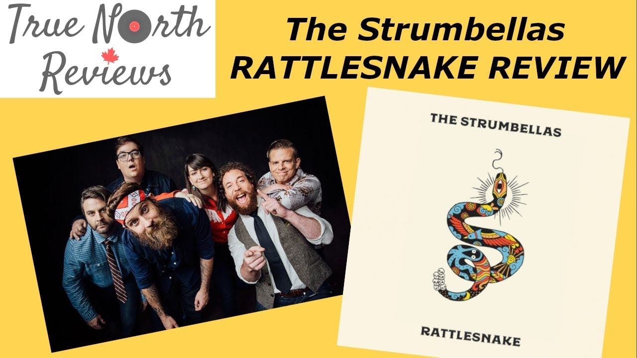 The Strumbellas Rattlesnake REVIEW YouTube