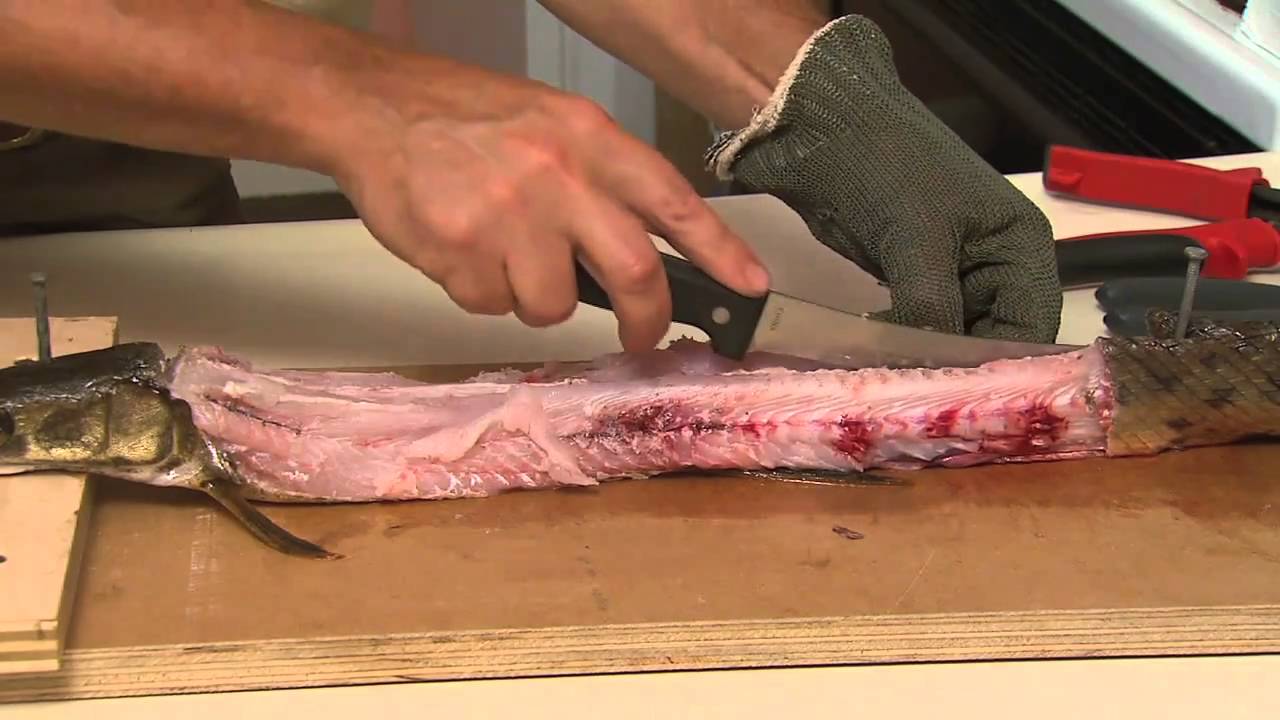 Cooking and eating Gar - YouTube