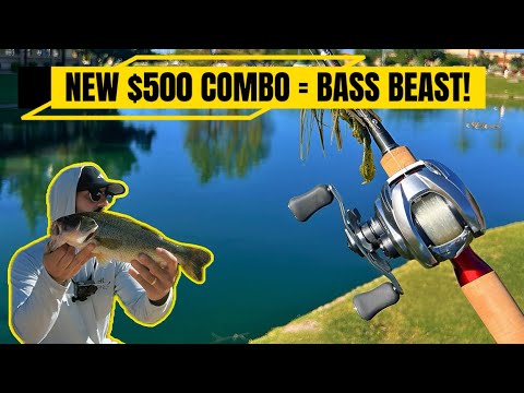 Daiwa Kage Rod + Zillion SV TW = Bass Fishing Perfection! (First Impressions)