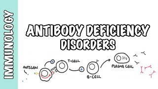 Primary antibody deficiency - Common Variable Immunodeficiency (CVID) , X-linked agammaglobulinemia