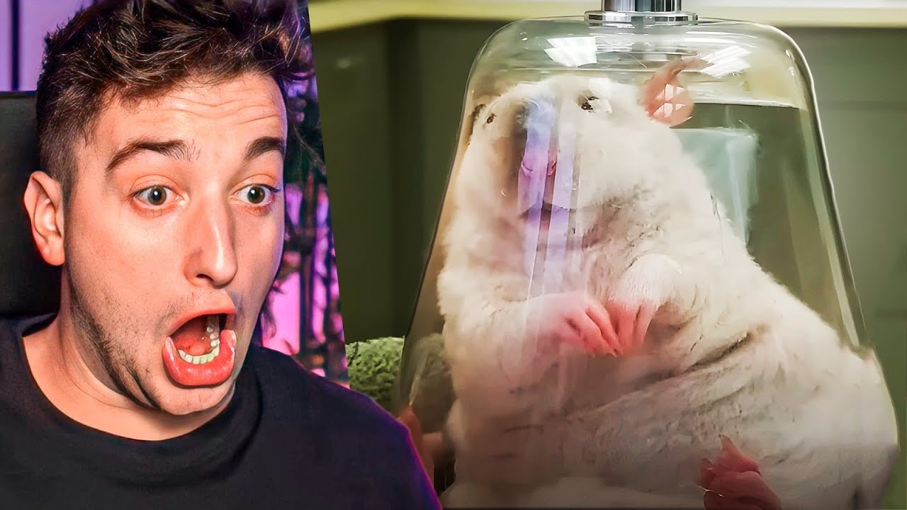 EL DATO MAS LOCO DE COSAS QUE NO SABIAS HACE 5 MINUTOS!!