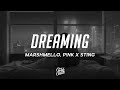 Marshmello, P!nk &amp; Sting - Dreaming (Lyrics)