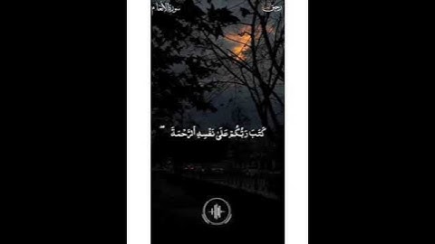 ادريس ابكر  سورة الأنعام كتب ربكم على نفسة الرحمة