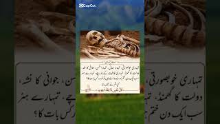 Download Lagu #quotes #love #instrumental #quotes #changeyourmindsetchangeyourlife #inspirationalquotes MP3