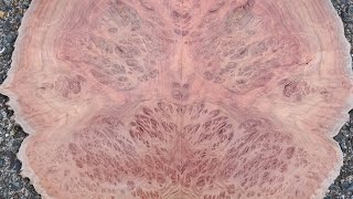 Coolibah burl resaw