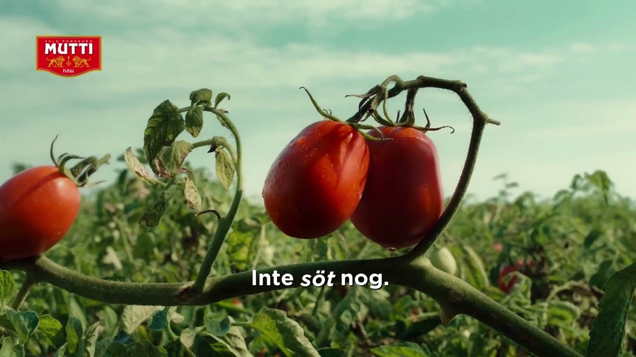 Mutti Polpa | Ett tecken på kvalitet