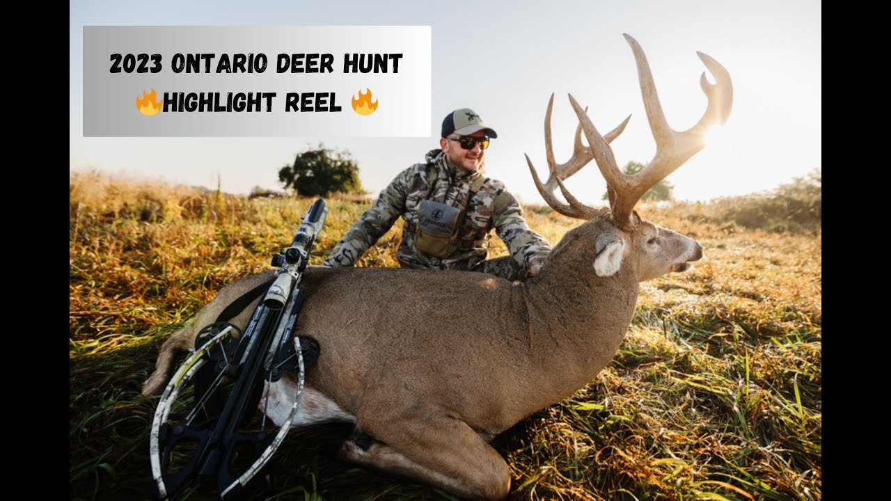 2023 Ontario Deer Hunt Highlight Reel YouTube