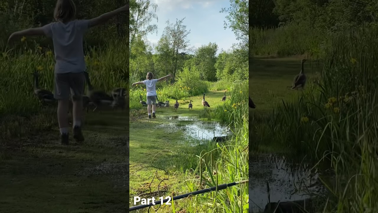 Fisherwick Fishing Species Challenge Part 12 