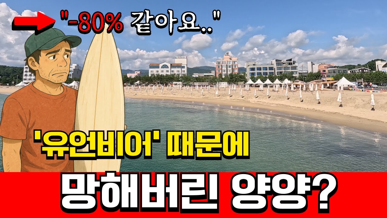 이게 여름 성수기 해변이라고..? 서핑 성지 양양의 충격적인 몰락