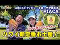 【ハワイお土産】ABCストアで買える!新定番の絶品パイナップルクッキー「ピアカ(Piaca)」を徹底紹介!