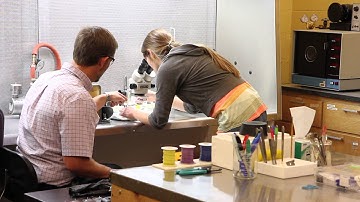 Chemical Vision!  Electrochemical Biosensor