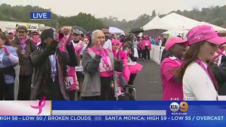 Thousands Turn Out For Susan G. Komen Race For The Cure