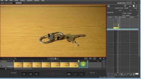 DragonFrame - Animation Options