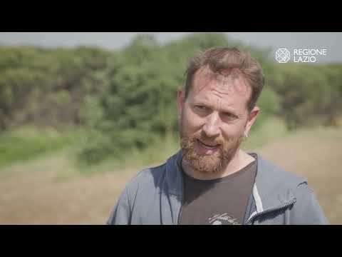 Progetto SORGO - video from Autofeed Project