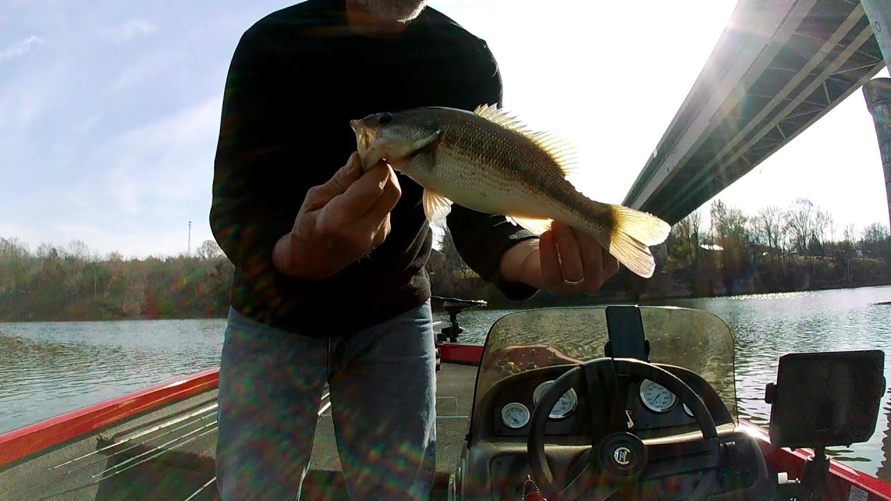 Nov. 2023 Bass Fishing Cumberland River