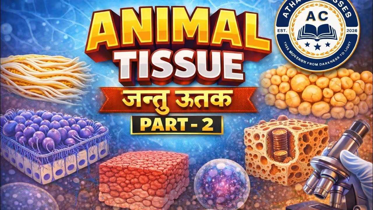 Animal tissue in hindi ( जन्तु ऊतक ) Part -2