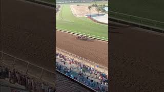 Del Mar Pacific Classic field comes by the stands the first time on Saturday, September 3.