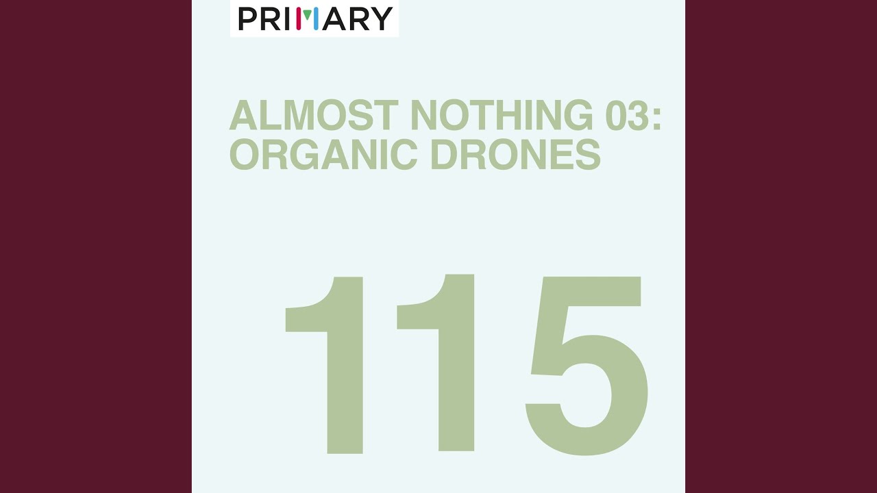 Mira Woodland Rain en YouTube