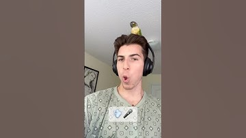 Poh snare/scratch tutorial