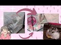 UPGRADING MY HAMSTER CAGE | KARII