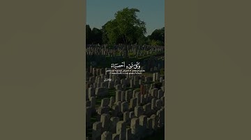 إنا نحن نحى الموتى ونكتب ما قدموا واثارهم وكل شيء أحصيناه فى إمام مبين سورة يس اسلام صبحي🤍